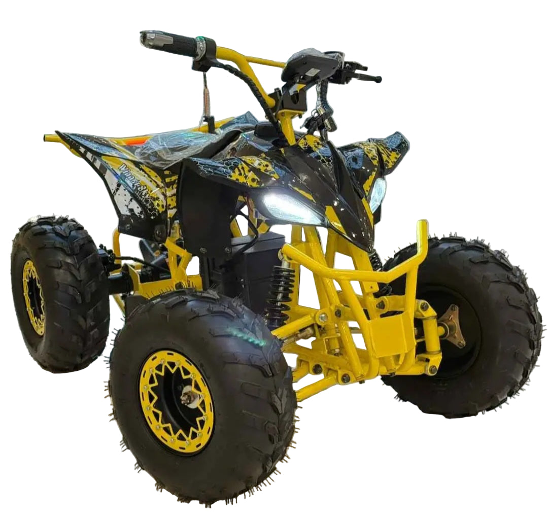 Electric ATV 36V 20Ah 800W for Kids & Teens Age 8-14
