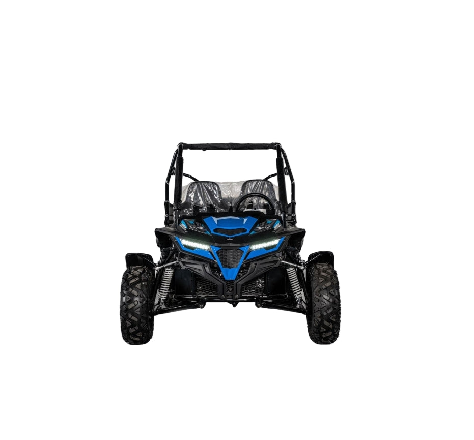 Junior 250cc Buggy UTV
