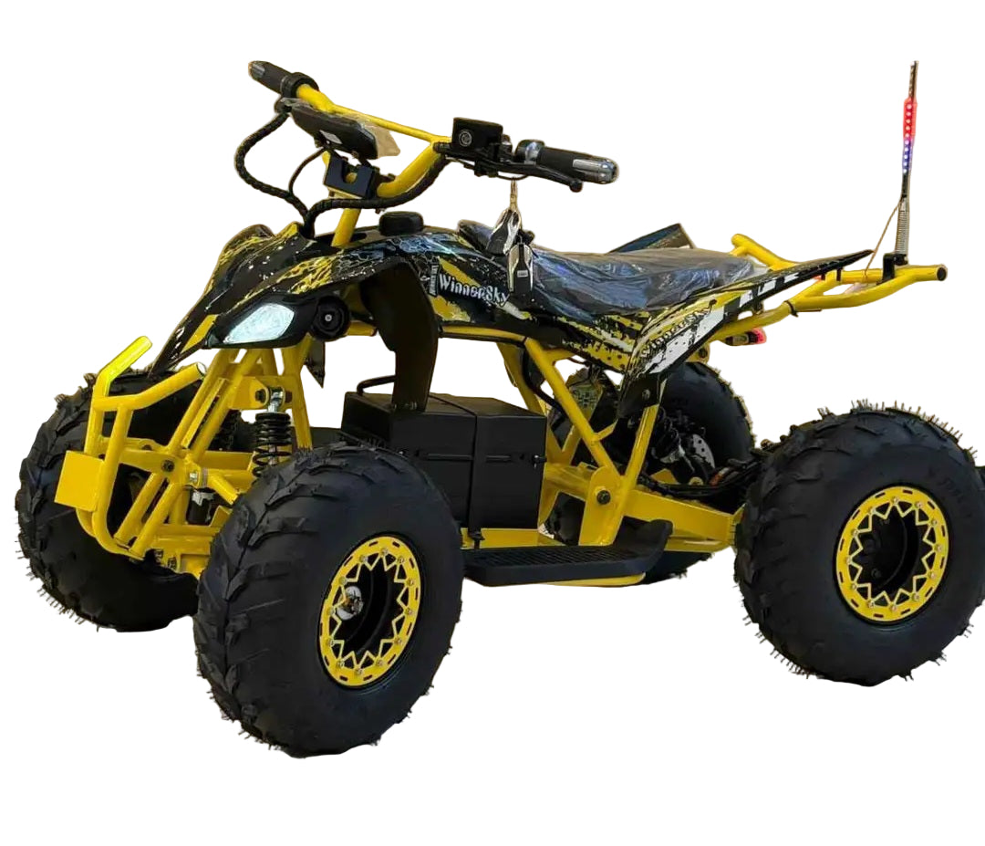 Electric ATV 36V 20Ah 800W for Kids & Teens Age 8-14