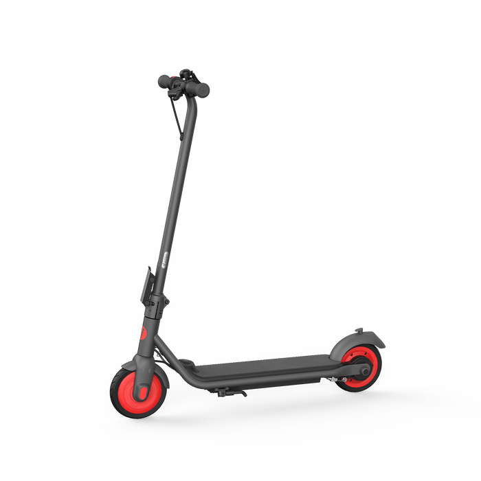 Ninebot Segway Zing C20 Electric Scooter Age 8-14
