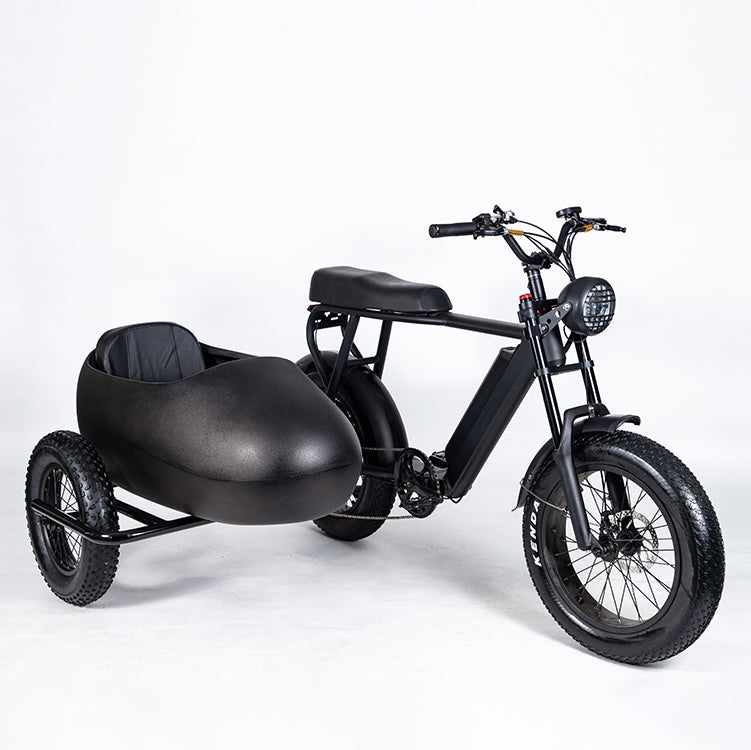 SoverSky | | E-Bike Sidecar Attachment | 750W Compatible