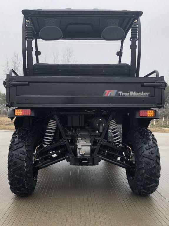 TrailMaster Taurus 200U UTV / Golf Cart / side-by-side Utility Hybrid with High/Low Gear