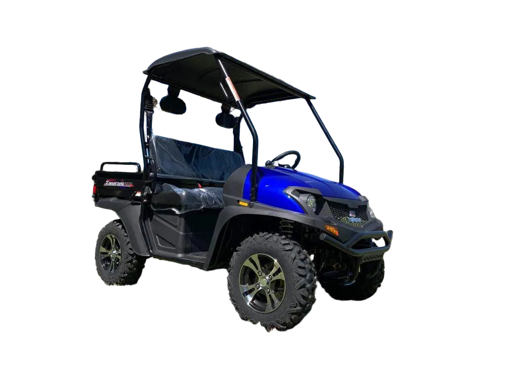 TrailMaster Taurus 200U UTV / Golf Cart / side-by-side Utility Hybrid with High/Low Gear