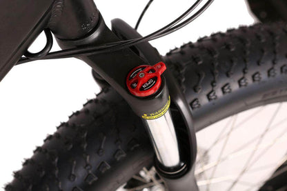 X-Treme Boulderado 48V 500W 17Ah Hub Motor Fat Tire Step-Through Electric Mountain Bicycle - 100% Financing Available!