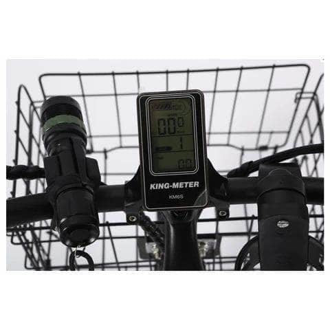 X-Treme Catalina Beach Cruiser 48V 500W Hub Motor Step-Through Electric Cruiser Bike - 100% Financing Available!